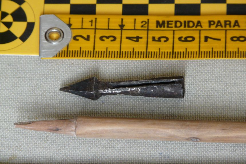 A crossbow bolt and its wooden lance were among over 200 cultural artifacts uncovered in the nests.