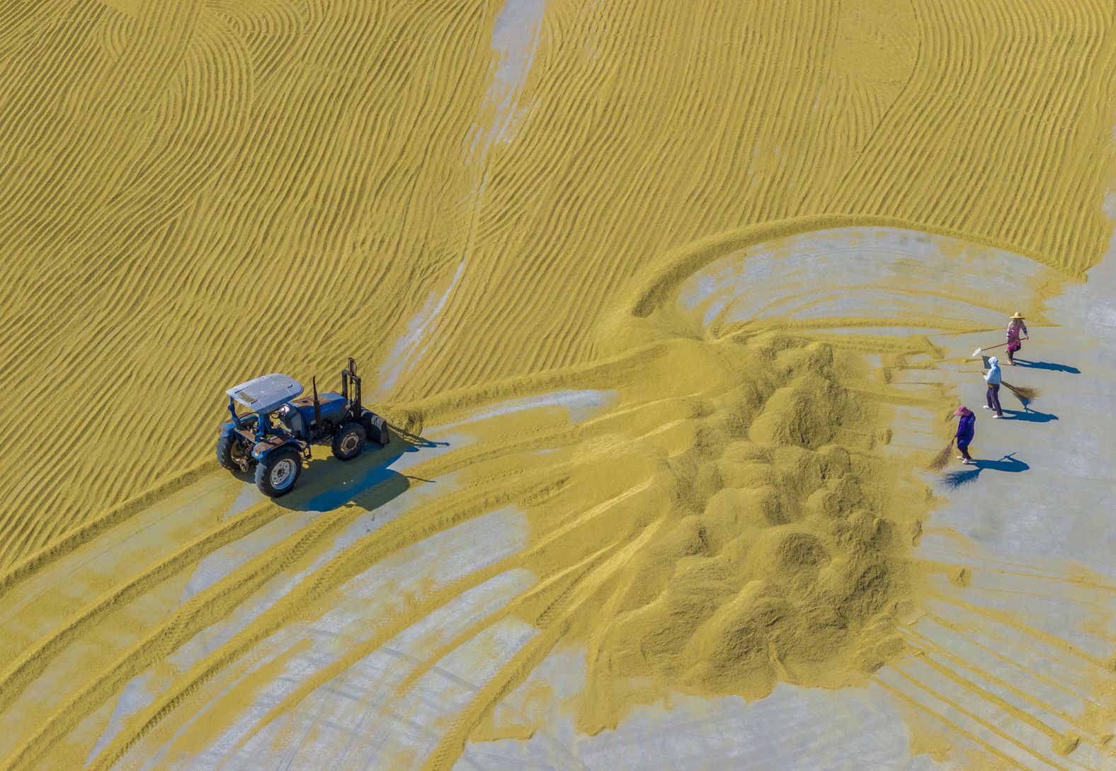 Farmers dry rice in Suqian, China, on Thursday, October 23.