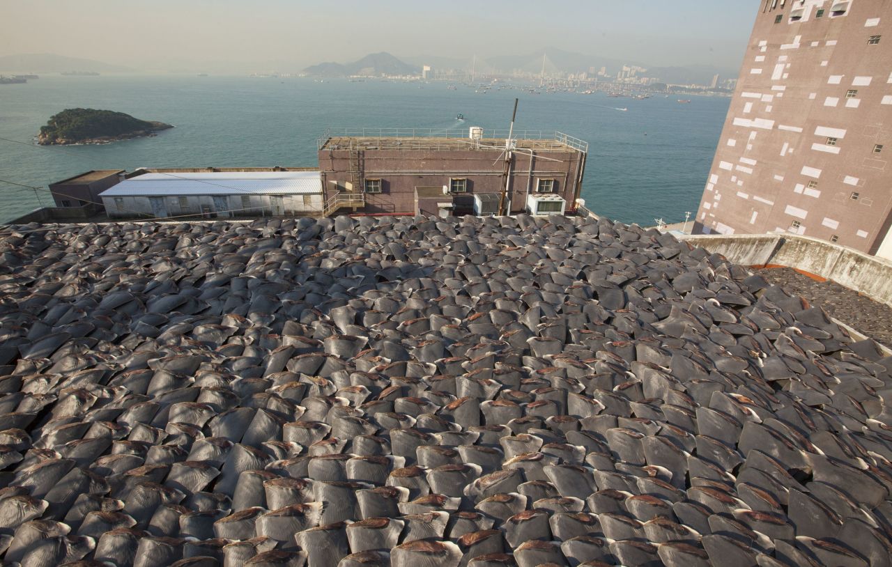 A shark fin trader was reportedly illegally subletting roof space from a fish maw trader in order to dry his wares.