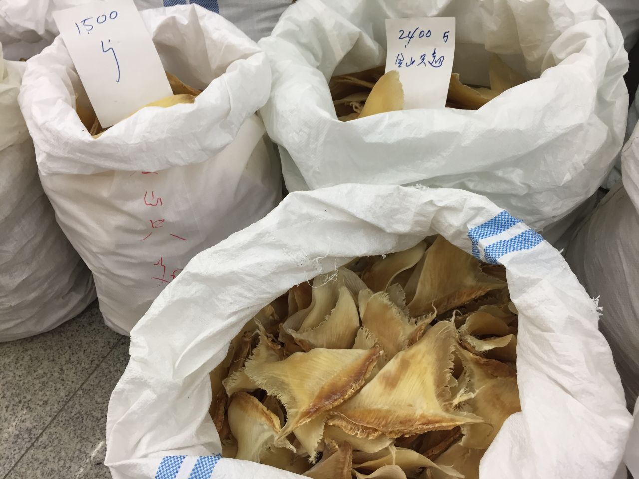 Dried shark fin in bins at Hong Kong's Dried Seafood Market.