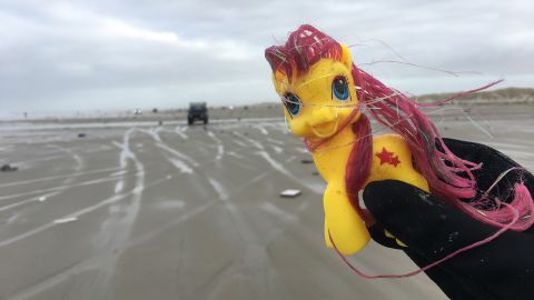 One of the finds on a beach.