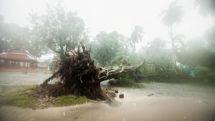 A fallen tree is seen as tropical storm Pabuk approaches the southern province of Nakhon Si Thammarat, Thailand, January 4, 2019. 
