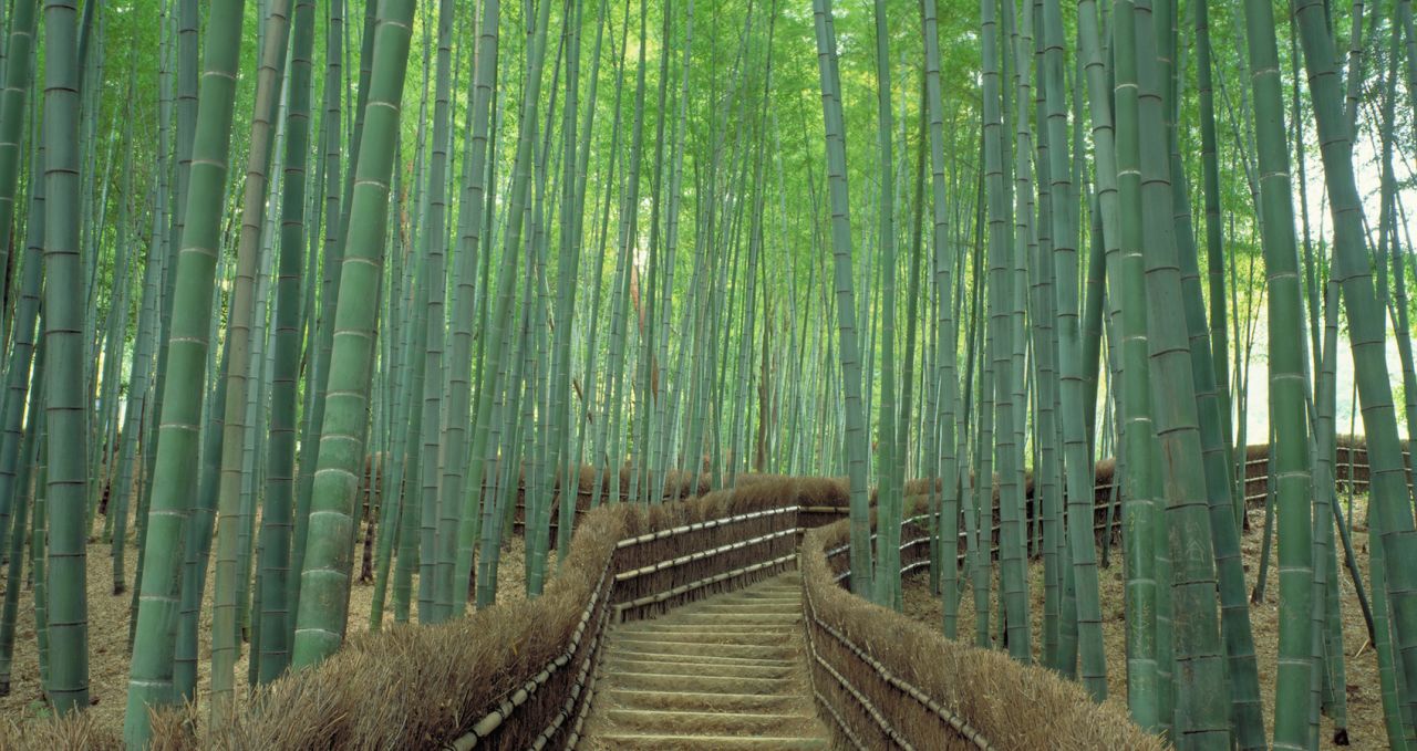 <strong>Sagano (Kyoto):</strong> Considered one of the world's most beautiful forests, it's not just tranquil visually but also aurally. The bamboo grove is beloved for its distinct rustling sound, so much that Japan's Ministry of Environment included the <a href="http://edition.cnn.com/2014/08/11/travel/sagano-bamboo-forest/">Sagano Bamboo Forest</a> on its list of "100 Soundscapes of Japan." The towering green stalks creak eerily while leaves rustle in the sway of the wind.