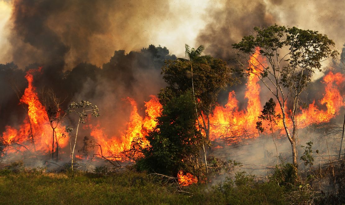 A fire burns trees next to grazing land in the Amazon basin on November 22,  in Ze Doca, Brazil, 2014. Fires are often set to clear forest for grazing land.