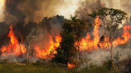ZE DOCA, BRAZIL - NOVEMBER 22:  A fire burns trees next to grazing land in the Amazon basin on November 22, 2014 in Ze Doca, Brazil. Fires are often set by ranchers to clear shrubs and forest for grazing land in the Amazon basin. The non-governmental group Imazon recently warned that deforestation in the Brazilian Amazon skyrocketed 450 percent in October of this year compared with the same month last year. The United Nations climate change conference begins December 1 in neighboring Peru.  (Photo by Mario Tama/Getty Images)