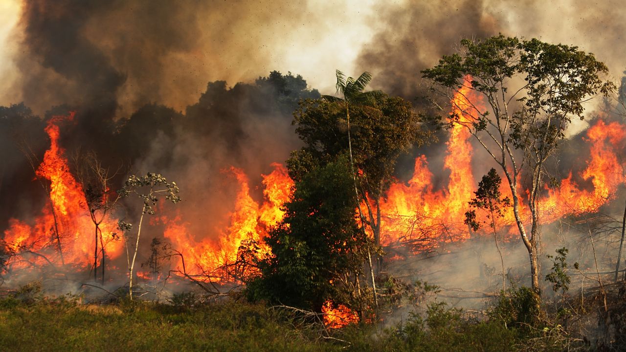 A fire burns trees next to grazing land in the Amazon basin on November 22,  in Ze Doca, Brazil, 2014. Fires are often set to clear forest for grazing land.