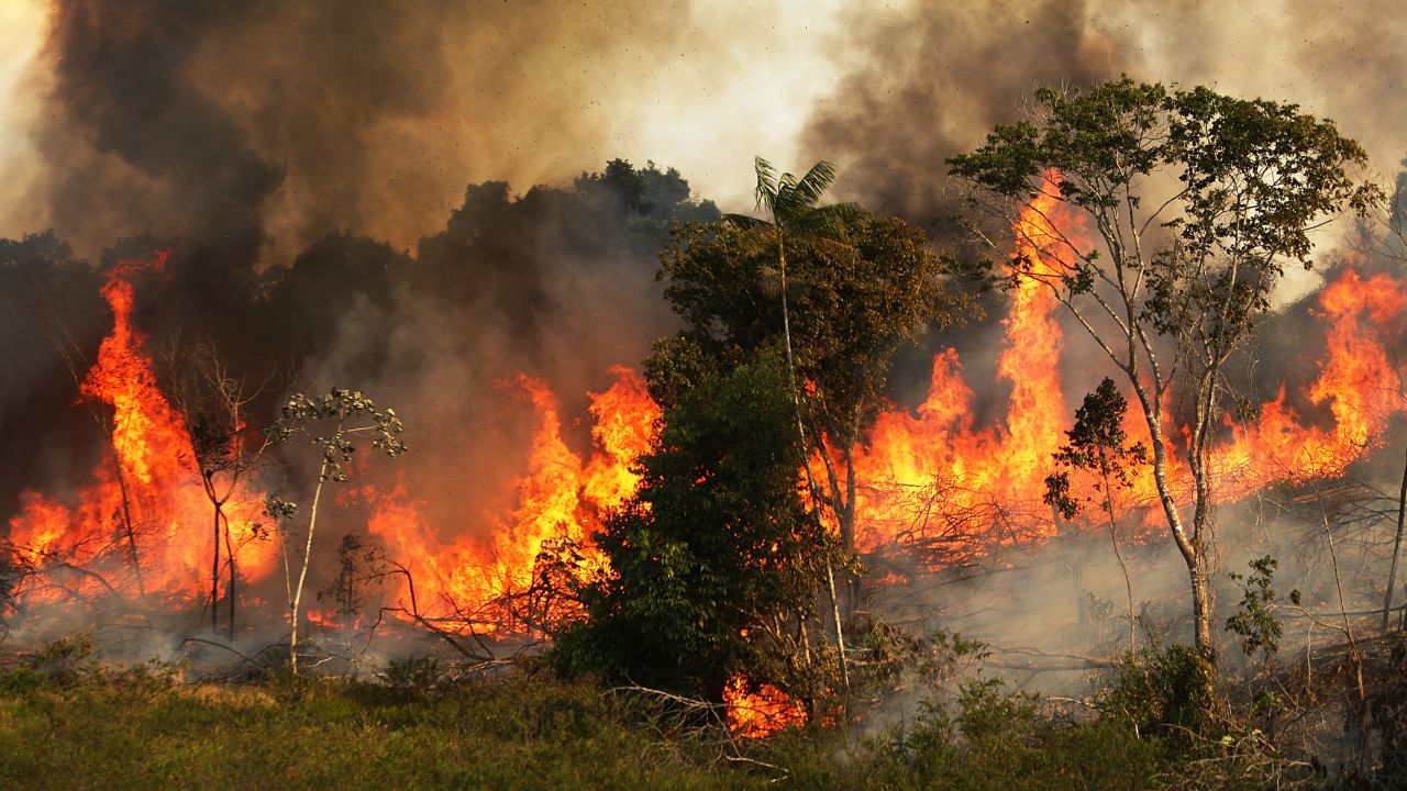 A fire burns trees next to grazing land in the Amazon basin on November 22, in Ze Doca, Brazil, 2014. Fires are often set to clear forest for grazing land.