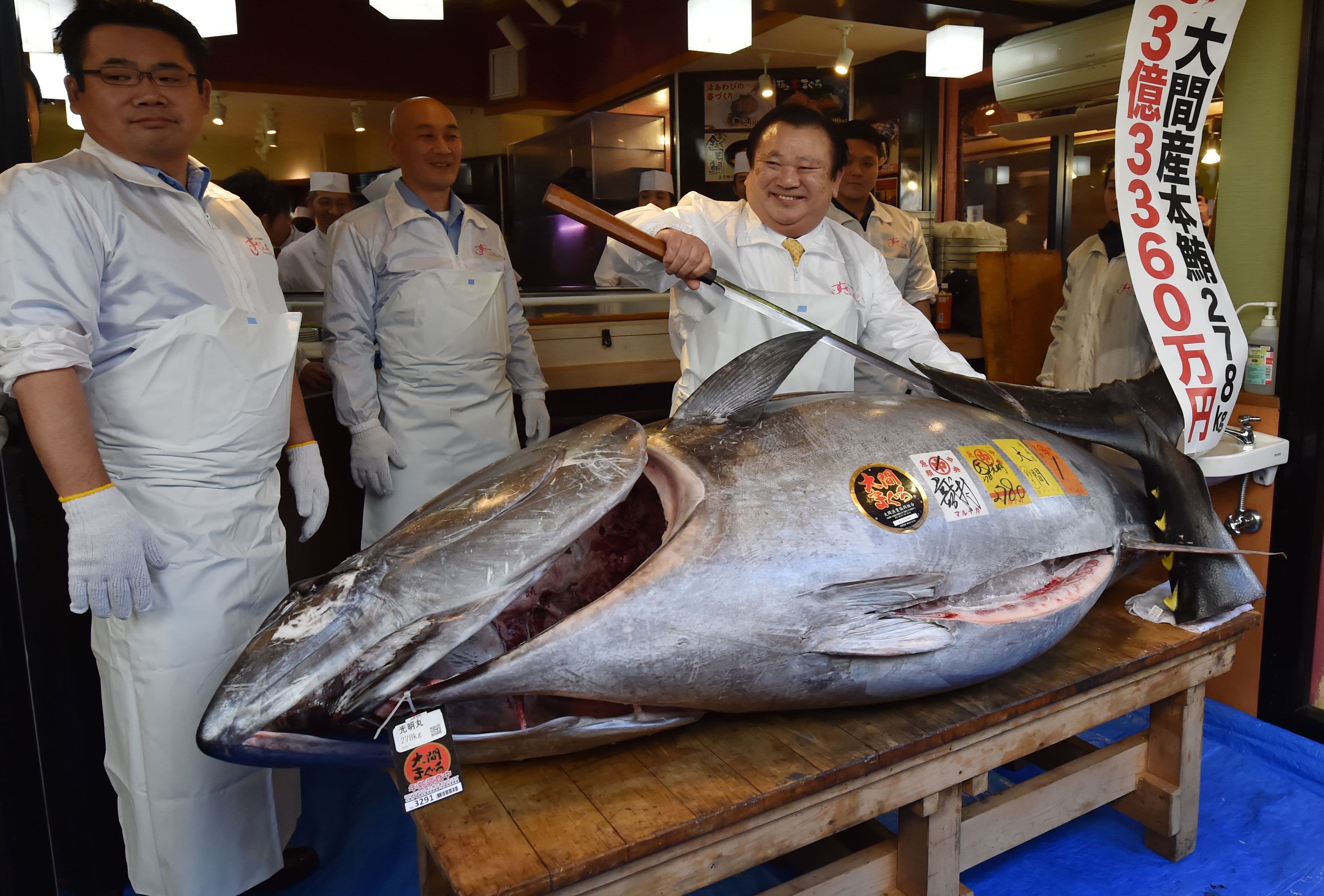 158 lb Bluefin Tuna, Start To Finish
