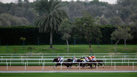 Meydan is the jewel in Dubai's horse racing scene.