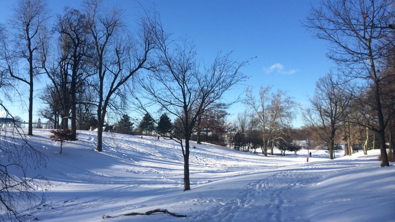 <strong>Buffalo:</strong> New York state's second-largest city population-wise typically gets a lot of snow each winter, turning parks into a winter wonderland.