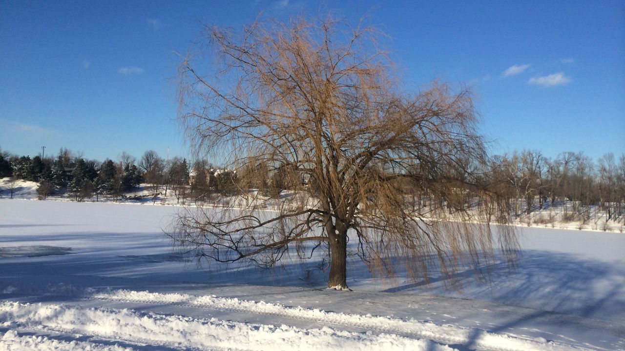 <strong>Season of snow: </strong>The folks behind the sweepstakes hope the winner will see Buffalo in a new and beautiful light -- as a city with art, culture, shopping, good food and great people.