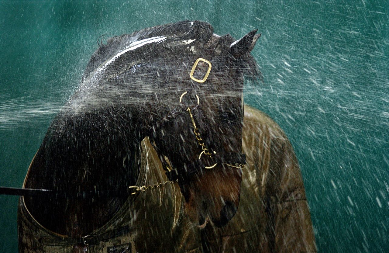 Another picture that has defined his career is this shot of the great stallion Danehill being hosed down at  Coolmore Stud in Ireland in 2003. "I just love the whole effect, how the water is reacting over the horse. He turns his neck so it was almost like a massage to him, and you can see how much he's enjoying it. I had to shoot it on a slow shutter speed and there's a real sense of movement in the water, and the light is just lovely."<br />