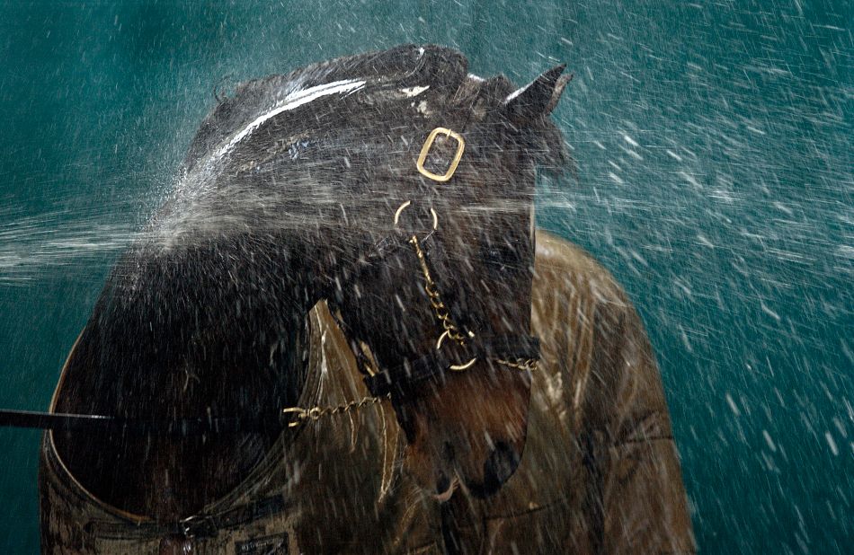 Another picture that has defined his career is this shot of the great stallion Danehill being hosed down at  Coolmore Stud in Ireland in 2003. "I just love the whole effect, how the water is reacting over the horse. He turns his neck so it was almost like a massage to him, and you can see how much he's enjoying it. I had to shoot it on a slow shutter speed and there's a real sense of movement in the water, and the light is just lovely."<br />