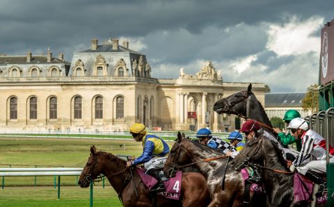 Horses break from the stalls in front of the Great Stables at Chantilly, France in 2016. "I love this shot because of the light and the horse rearing  at the start. It's just a dramatic picture. That one horse going up gives it great strength."