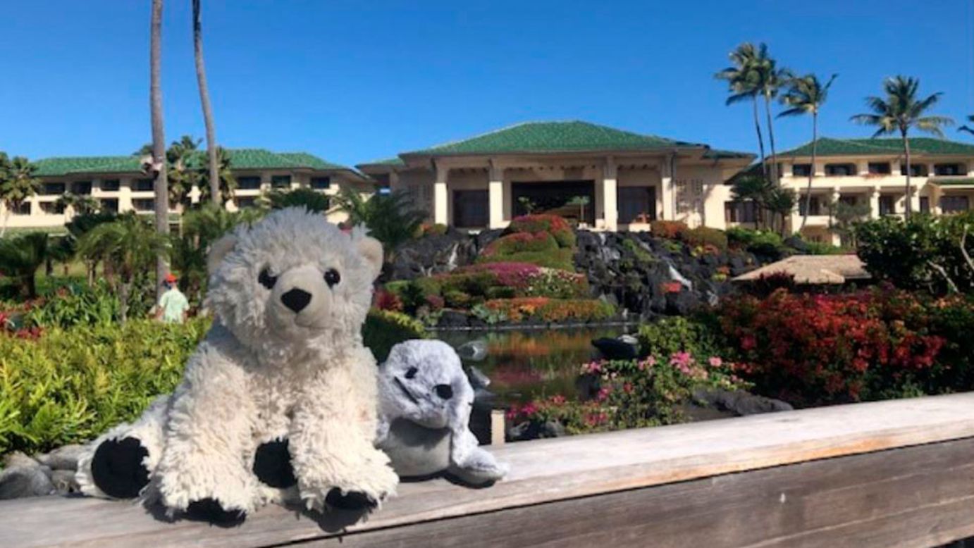 <strong>Swanky spot</strong>: The Grand Hotel Hyatt Kauai is a swanky spot in Hawaii with plenty of beautiful views, which were enjoyed by Sutro and Kauai.