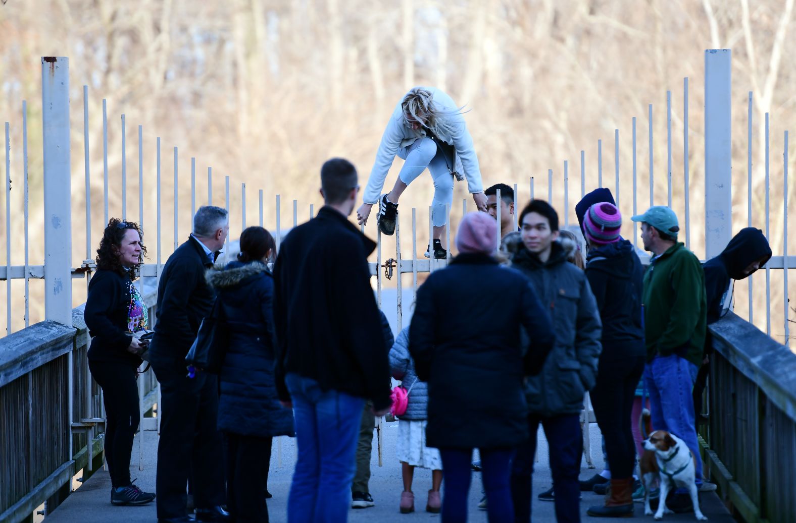 A pedestrian in Arlington, Virginia, climbs over a fence leading to Theodore Roosevelt Island, which was closed because of the government shutdown on Sunday, January 6.