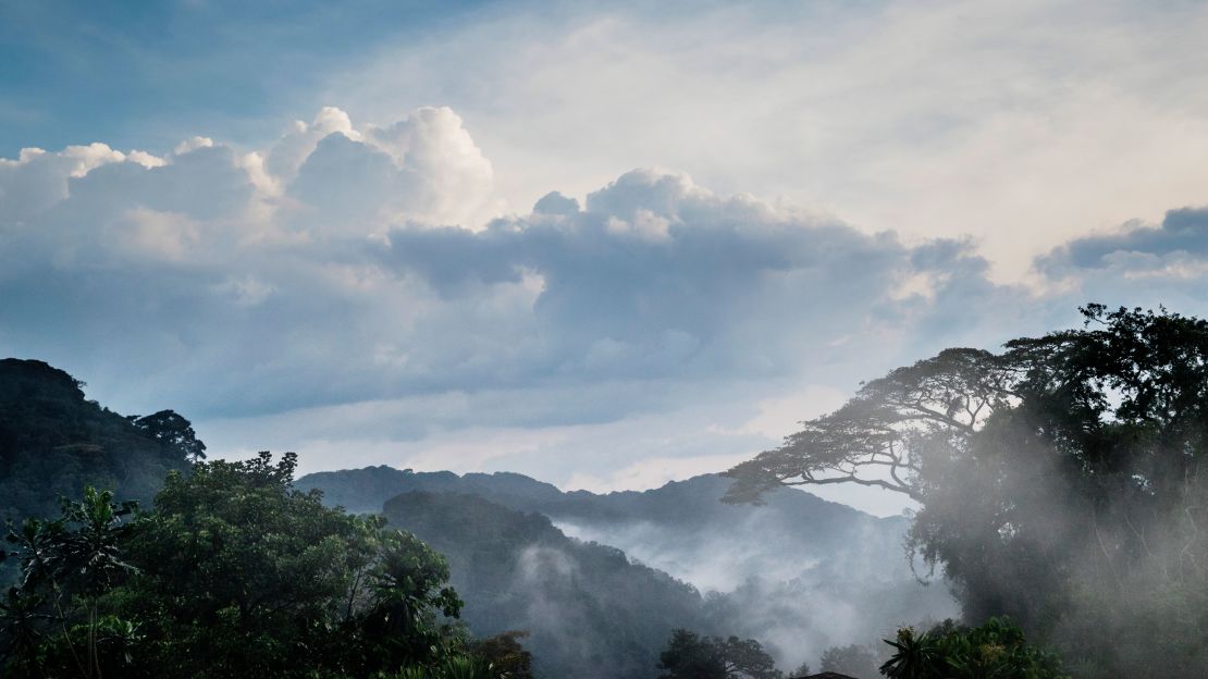 The One&Only Nyungwe House experience will cost you at least $1,500 a night.