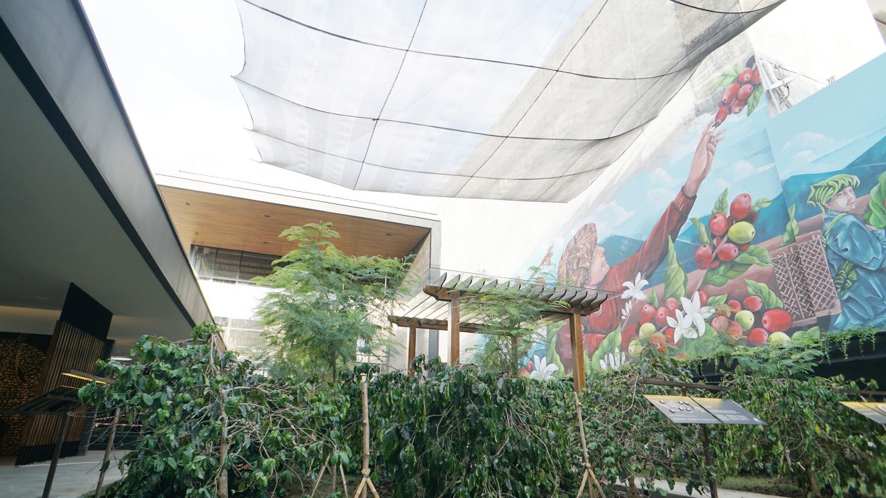Customers can view a coffee farm.