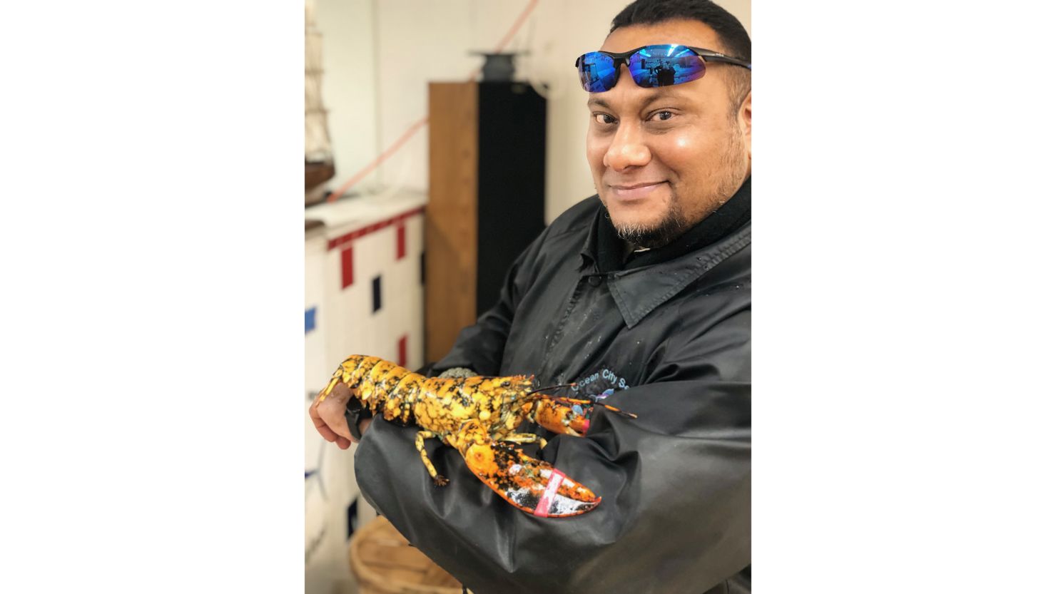 The owner of a Maryland fish market holds Eve, a rare calico lobster.