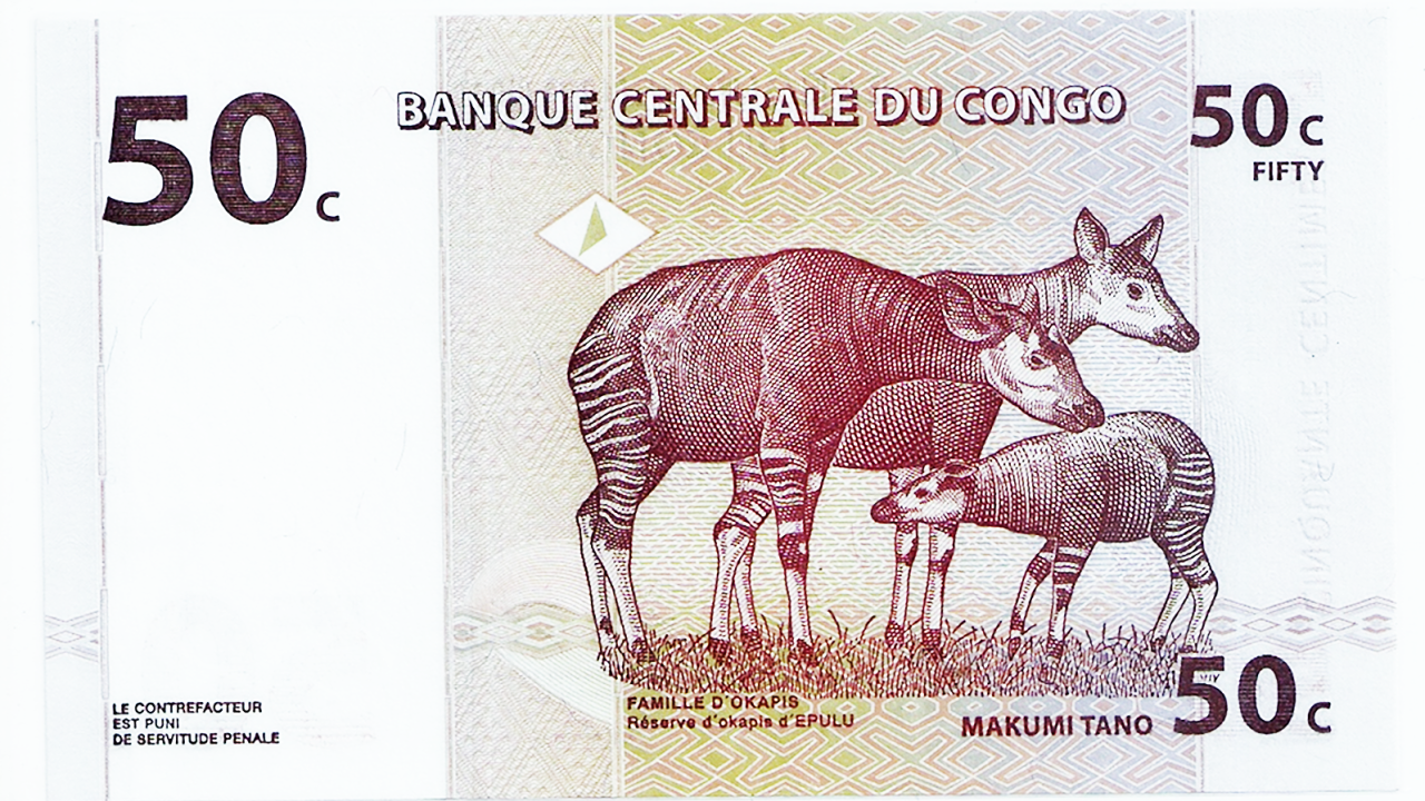 okapi bank note DRC Congo