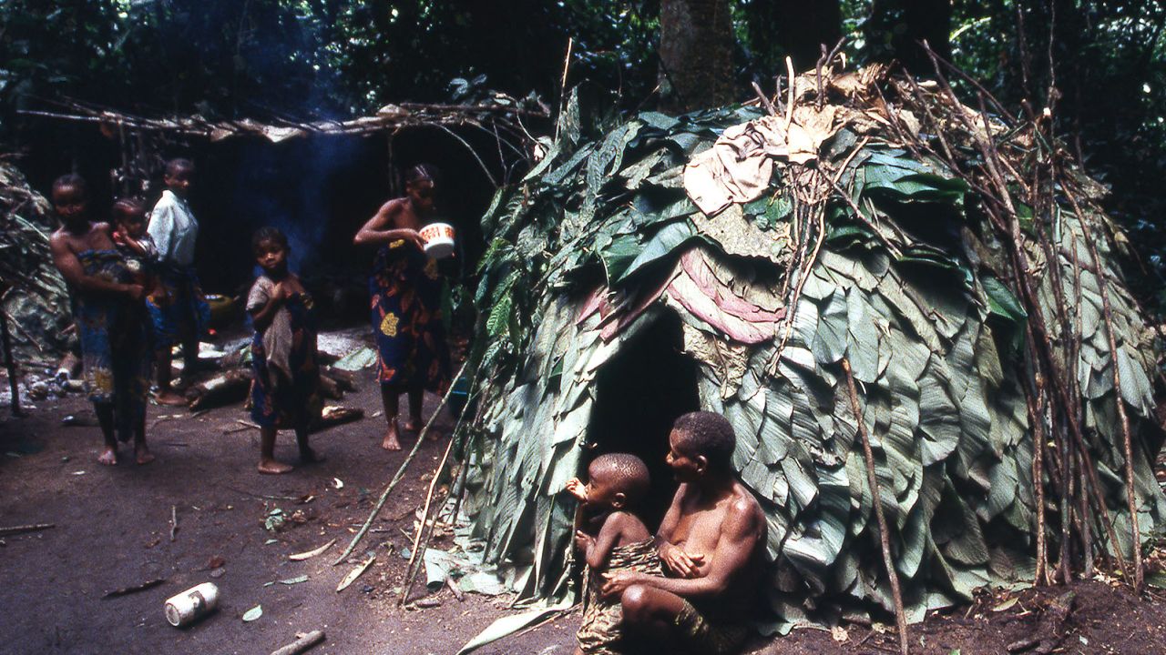 pygmy village ituri rainforest DRC