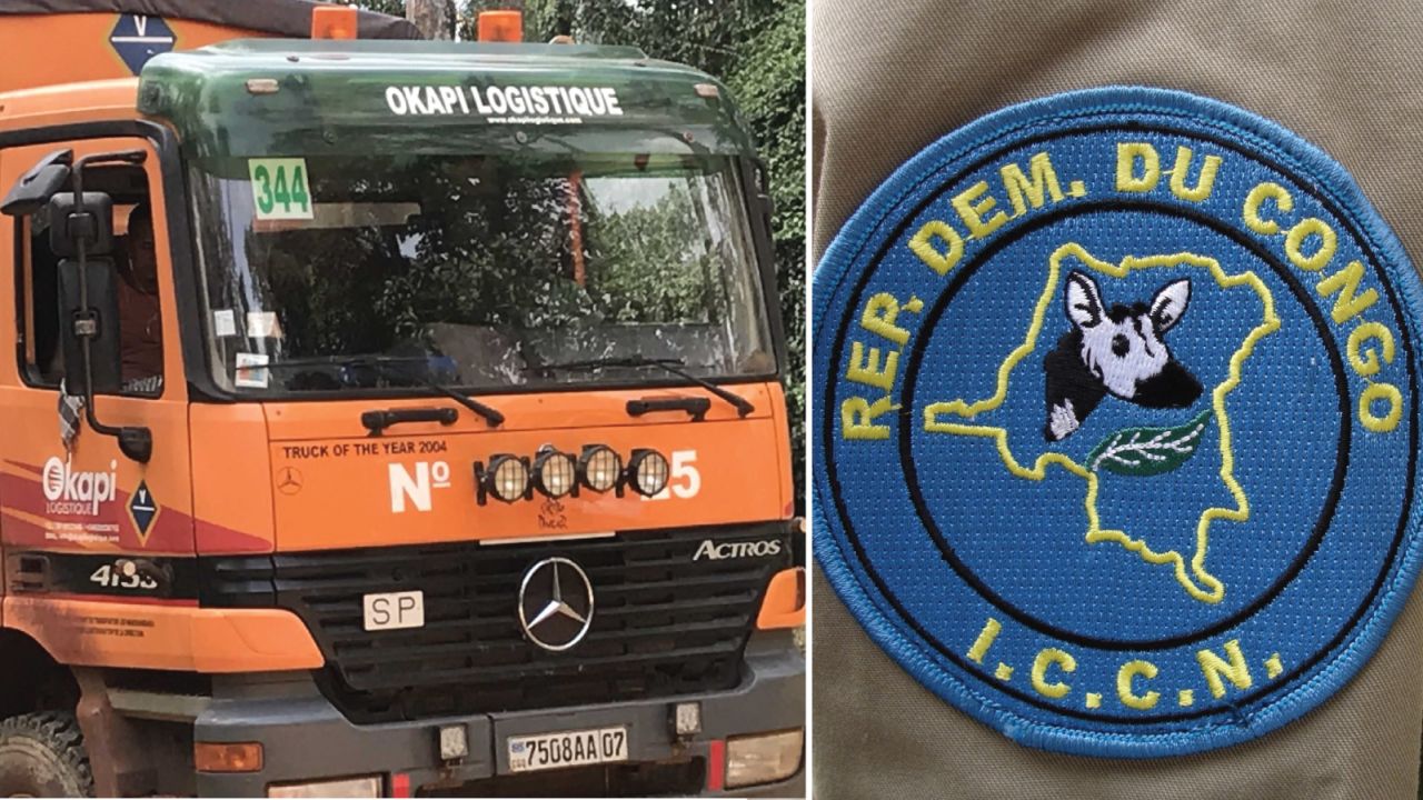 Clockwise from top: A 50 cent Congolese Franc note with the okapi; the Okapi on a government ranger's uniform; the okapi gives its name to many local businesses.