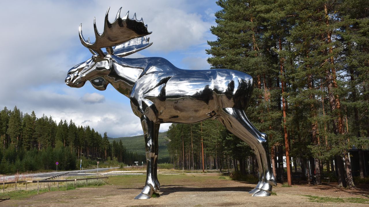 Storelgen - or "big elk" - in Norway, which took the crown from Moose Jaw in 2015.