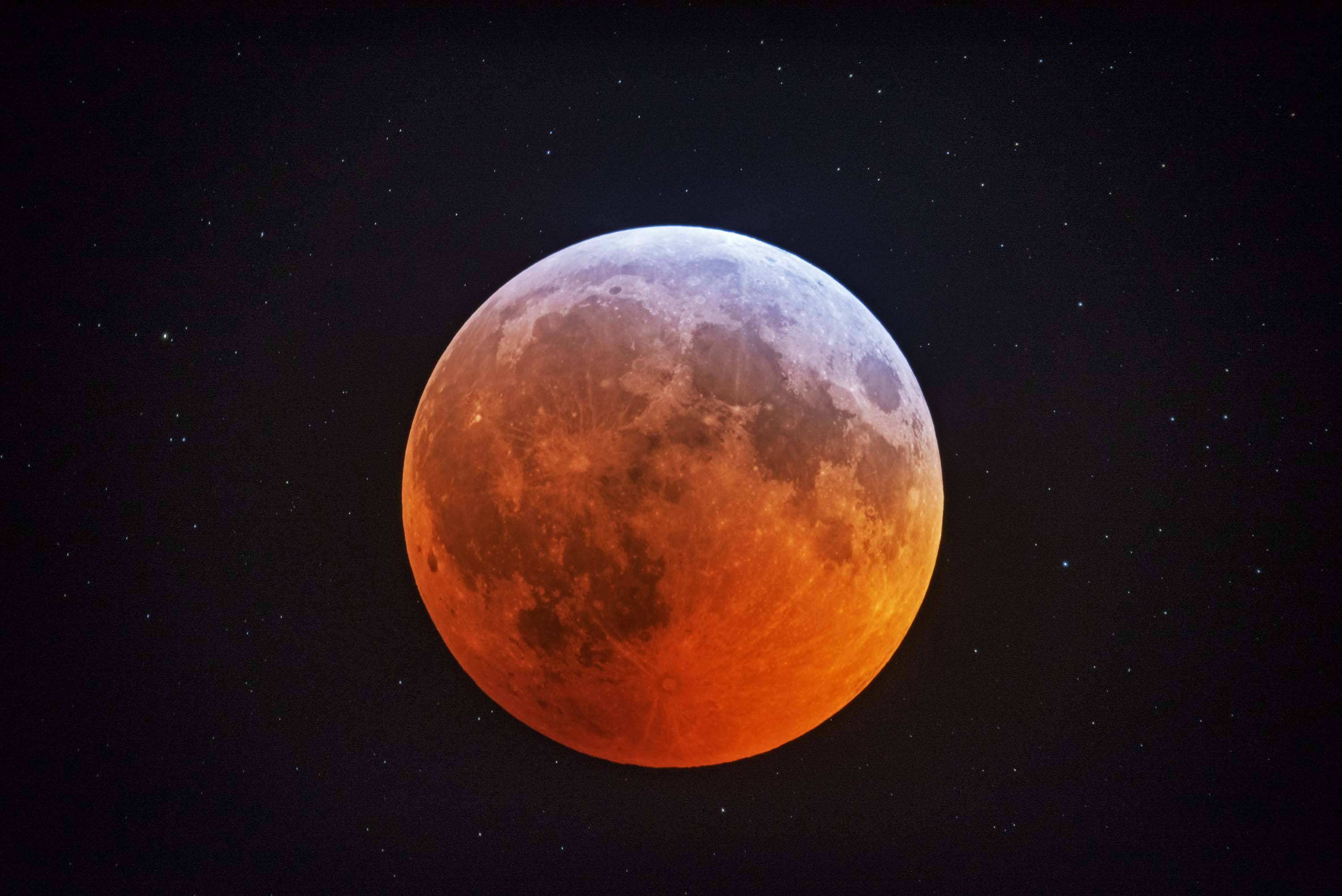 Gå en tur Samlet ved siden af Blood moon images: stargazers share photos of the lunar eclipse | CNN