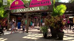 Zoo Atlanta_00000619.jpg
