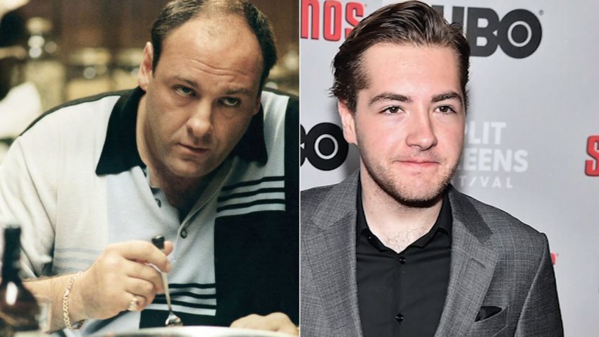 james gandolfini michael gandolfini split