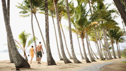 A couple strolls through the palm trees on the beach in Palm Cove, a suburb of Cairns.