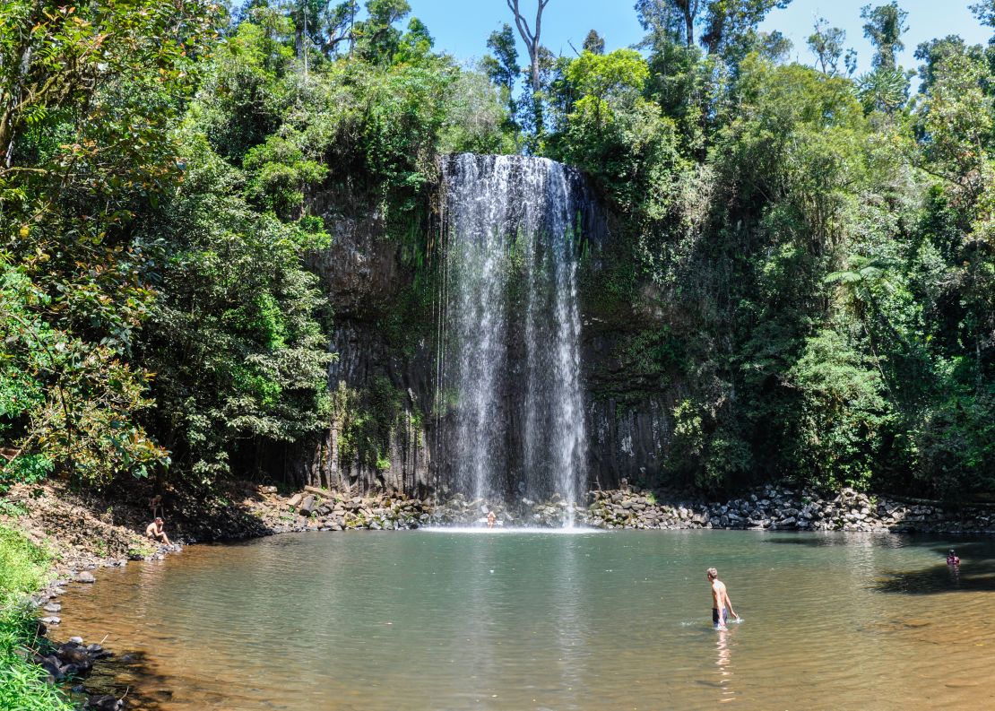 Millaa Millaa Falls is just one of many features to see  in the Atherton Tablelands.