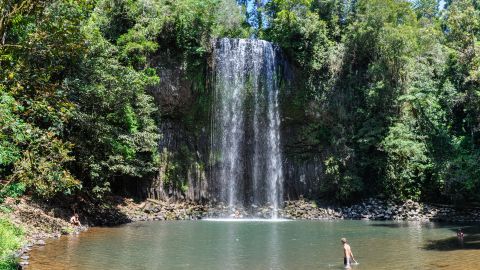 Millaa Millaa Falls is just one of many features to see  in the Atherton Tablelands.