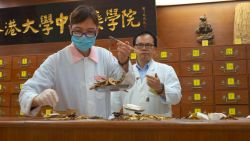 Professor Lao Li Xing trains younger generations to carry on the ancient practice of traditional Chinese medicine