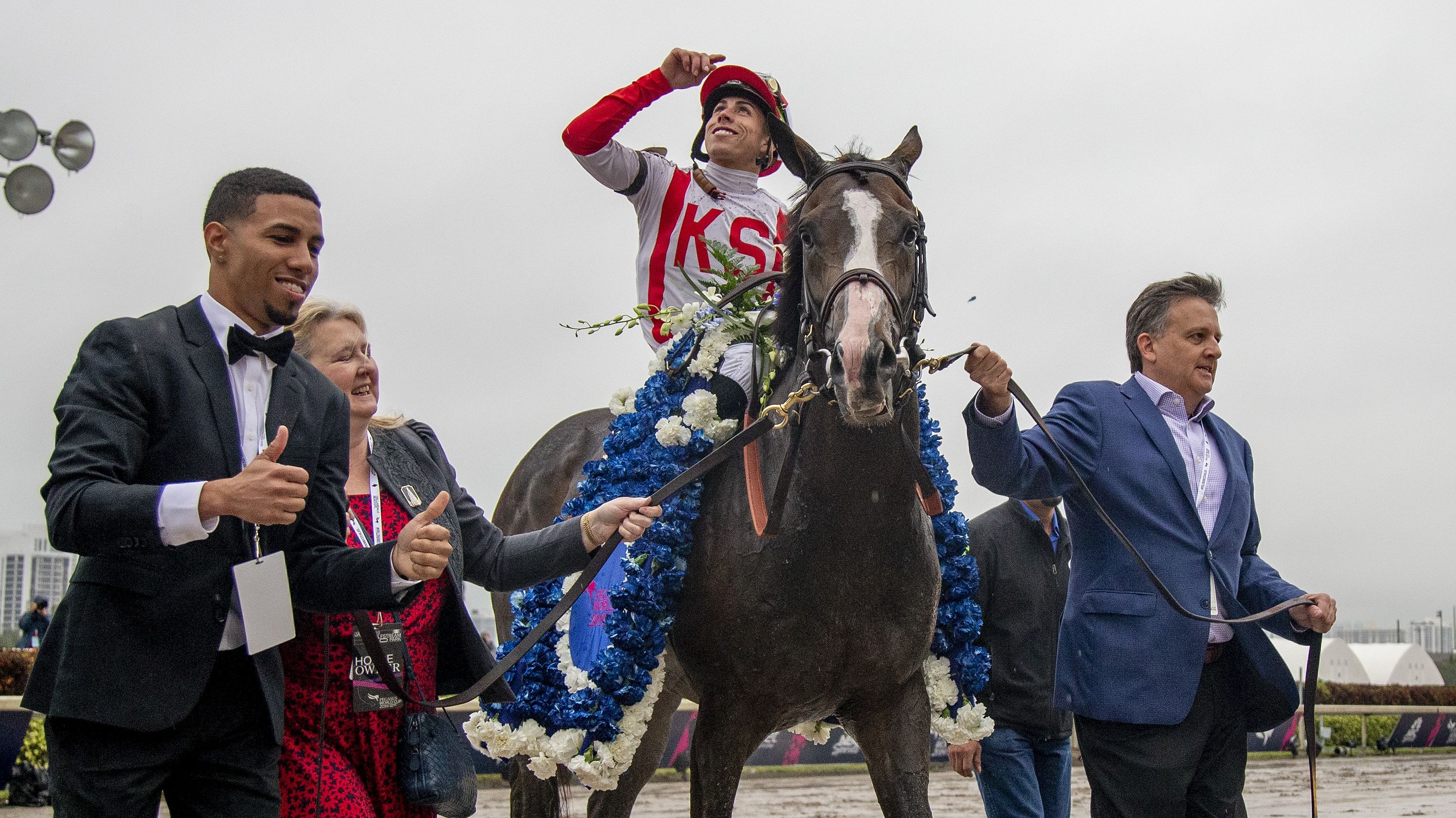 City of Light easily wins 4 million top prize at the Pegasus World Cup CNN