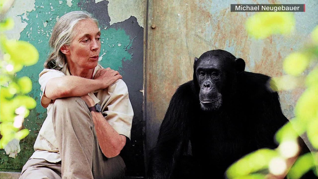 exp gps 0127 jane goodall full interview_00002001.jpg