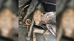 A magnet fisherman discovered he had pulled up a World War II hand grenade while fishing on Saturday, January 26, 2019. 