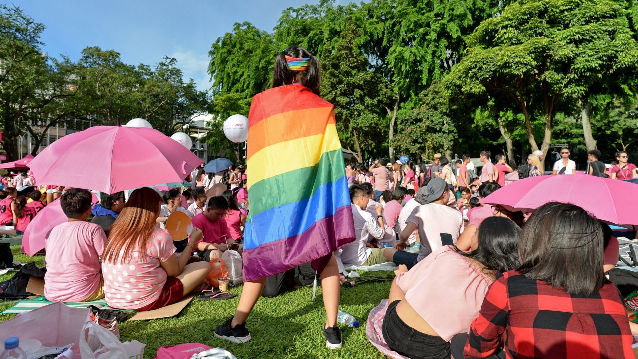 A gay rights supporter at the annual Pink Dot event in Singapore.