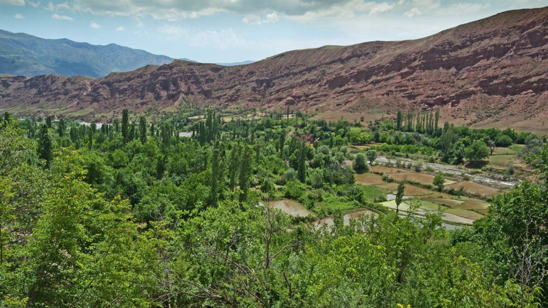 <strong>Green valley: </strong>Orchards and rice paddies line an Alamut side-valley near Andej village.