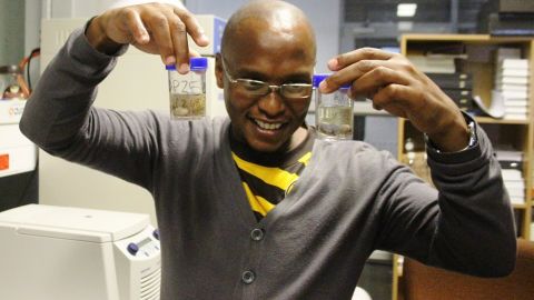 Mafunda examines samples in the lab.