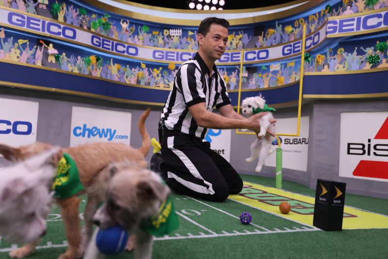 Puppy bowl orders 2019 live