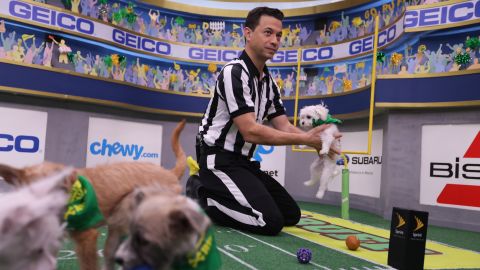  Dan Schachner, the Puppy Bowl referee, holds up Pistachio, the Puppy Bowl's tiniest competitor, after he has made a goal. Pistachio weighed only 32 ounces when he was rescued, but at the Puppy Bowl everyone discovers that he is a fierce competitor for Team Ruff. 