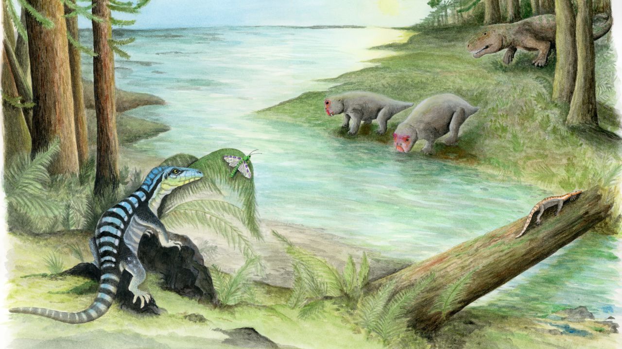 This is an artist's illustration of Antarctica, 250 million years ago. The newly discovered fossil of a dinosaur relative, Antarctanax shackletoni, revealed that reptiles lived among the diverse wildlife in Antarctica after the mass extinction.