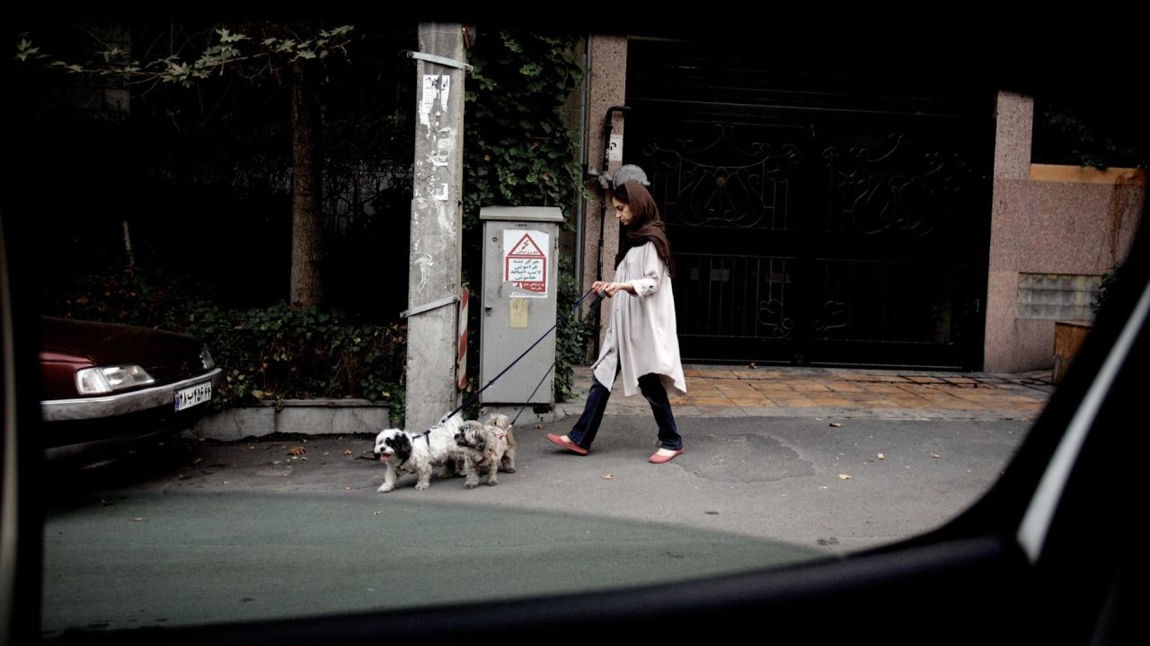 An Iranian woman walks her dogs in Tehran's wealthy Elahiyeh district in 2013.  