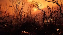 Burnt bushes are seen as a blaze moves through Deepwater National Park in Queensland on November 28, 2018. - Thousands of people have been evacuated from their homes in northeastern Australia as bushfires raged across Queensland state amid a scorching heatwave. (Photo by ROB GRIFFITH / AFP)        (Photo credit should read ROB GRIFFITH/AFP/Getty Images)