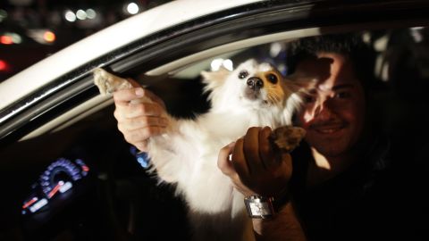 A driver in Tehran dances with his dog at a 2009 political rally. Despite religious stigma around dogs, Iran's middle class have embraced them as pets for years.
