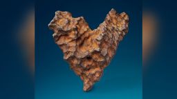 The meteorite is expected to command up to half a million dollars at auction. 