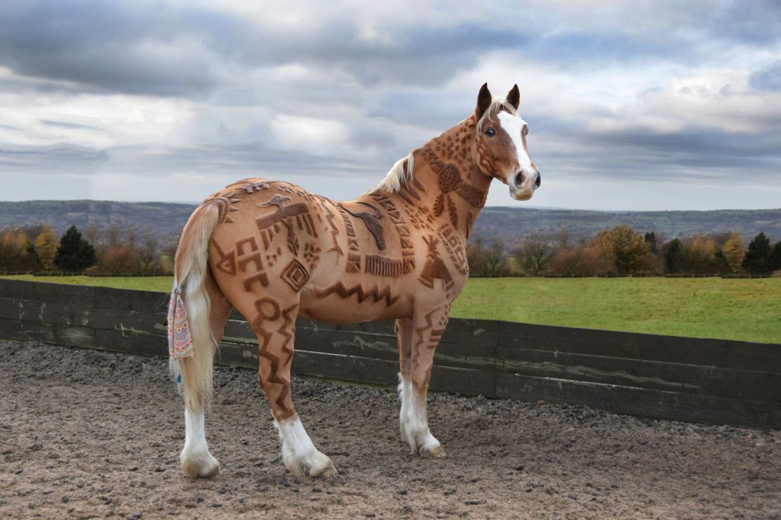 The 'Horse Barber' creates amazing artwork by clipping her subject's hair. 