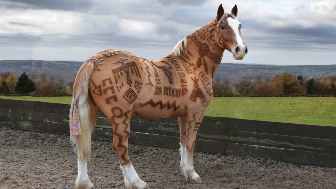 The 'Horse Barber' creates amazing artwork by clipping her subject's hair.