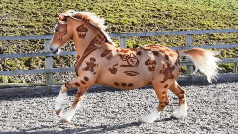 The 'Gingerbread Horse' was clipped for charity. 